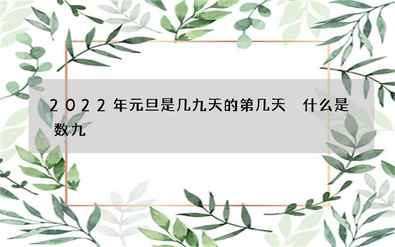 2022年元旦是几九天的第几天 什么是数九
